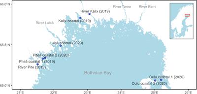 Lack of panmixia of Bothnian Bay vendace - Implications for fisheries management